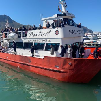 Hout Bay Seal Island trip